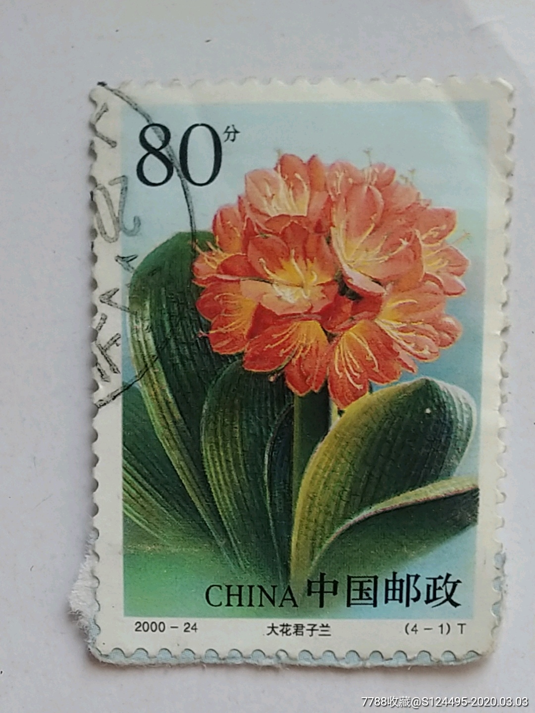 2000-24花卉邮票(4-1)
