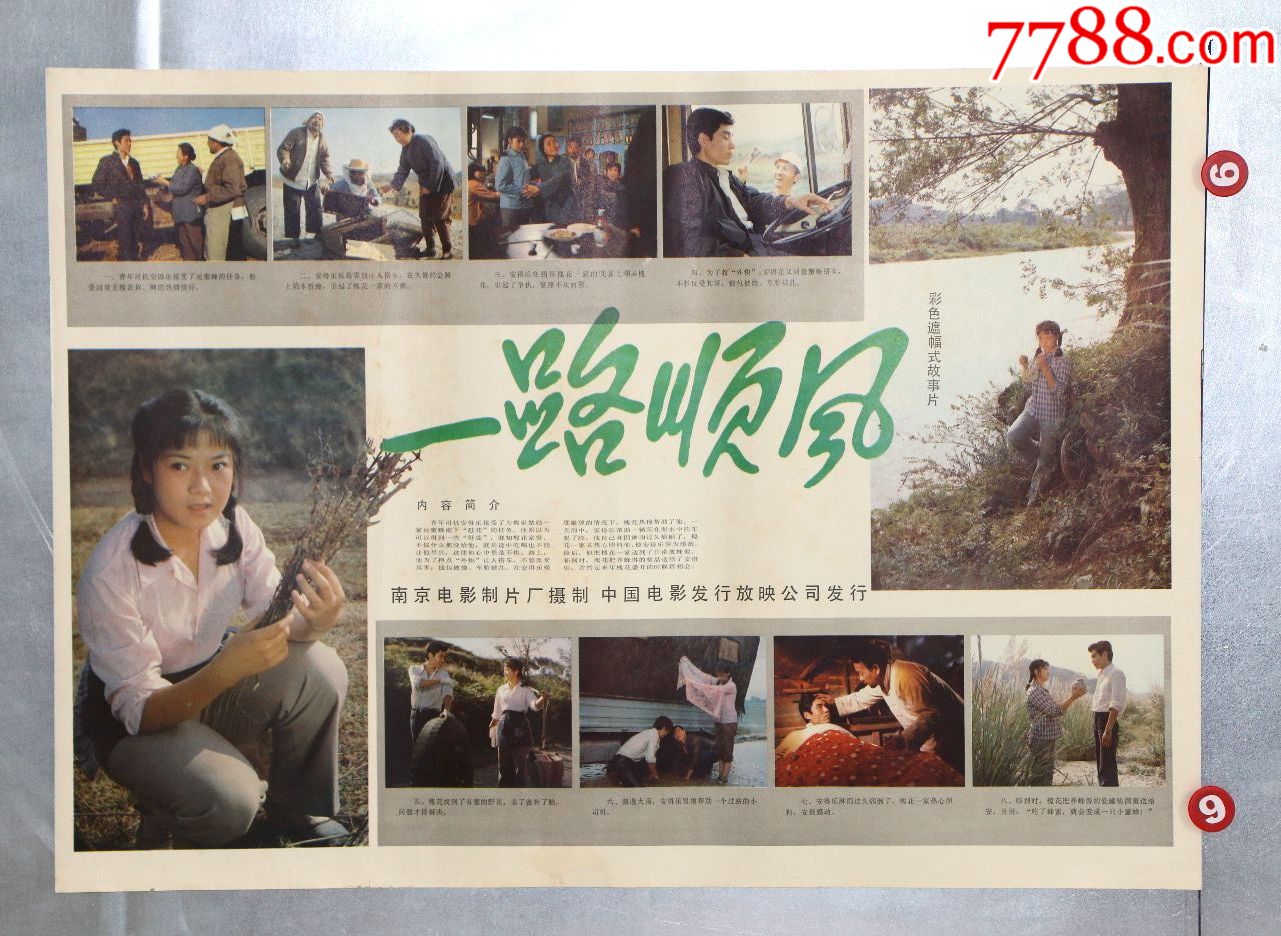 一路顺风(爱情片)-价格:12.0000元-se71467761-电影