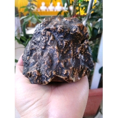 com)>首页>零售>风砺石/戈壁石>埃及沙漠黑金刚稀少咖色火山岩形状