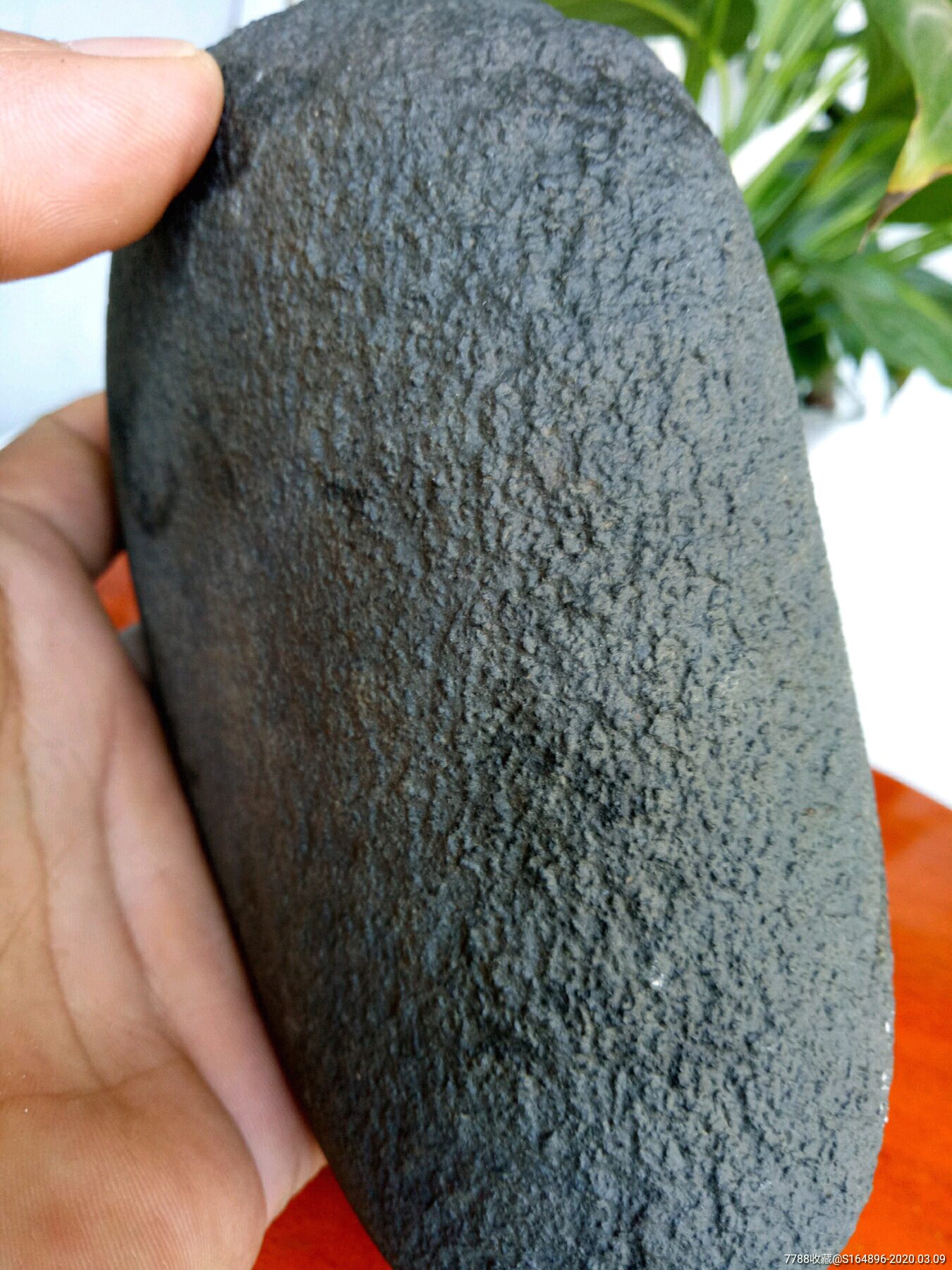 恐龙谷碳质陨石