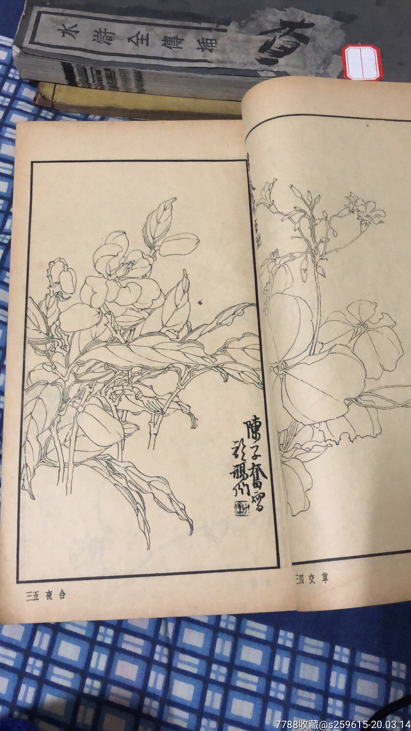 陈子奋白描花卉册