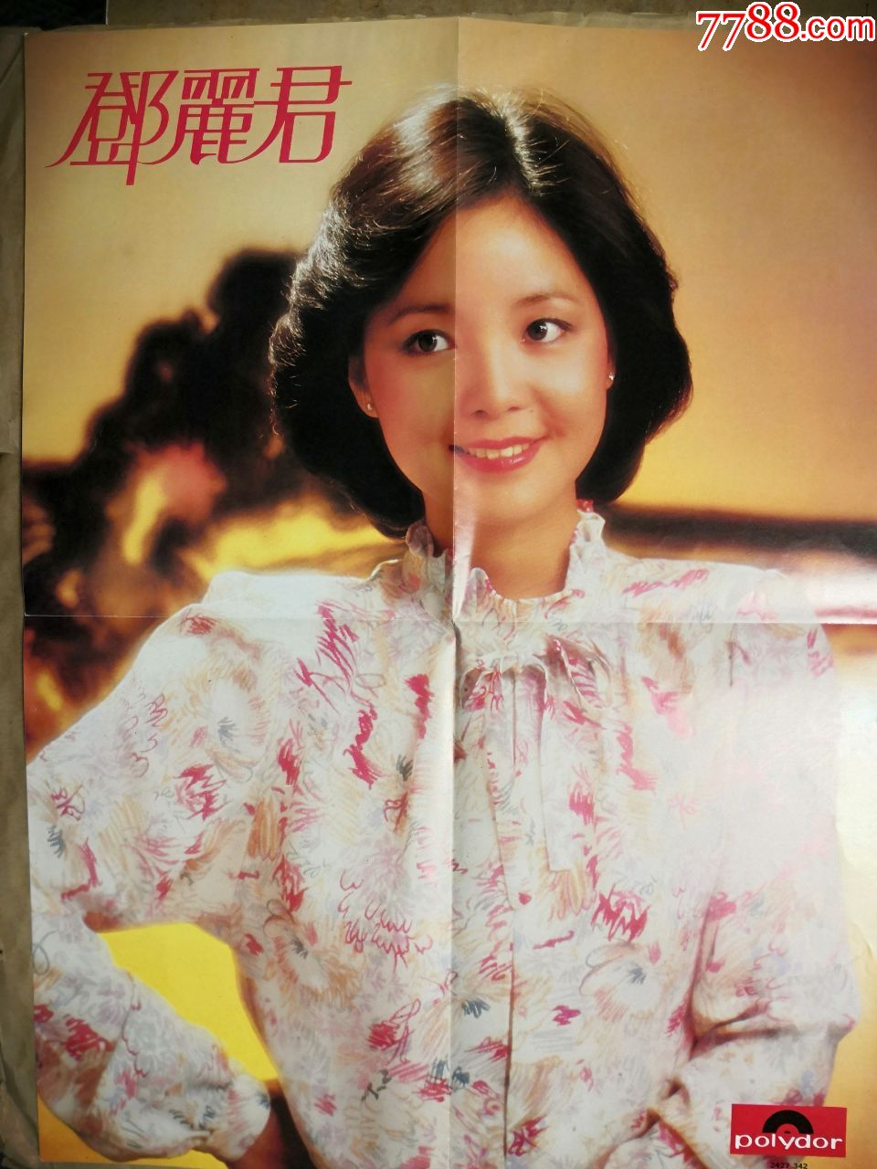 (邓丽君--大海报)一张