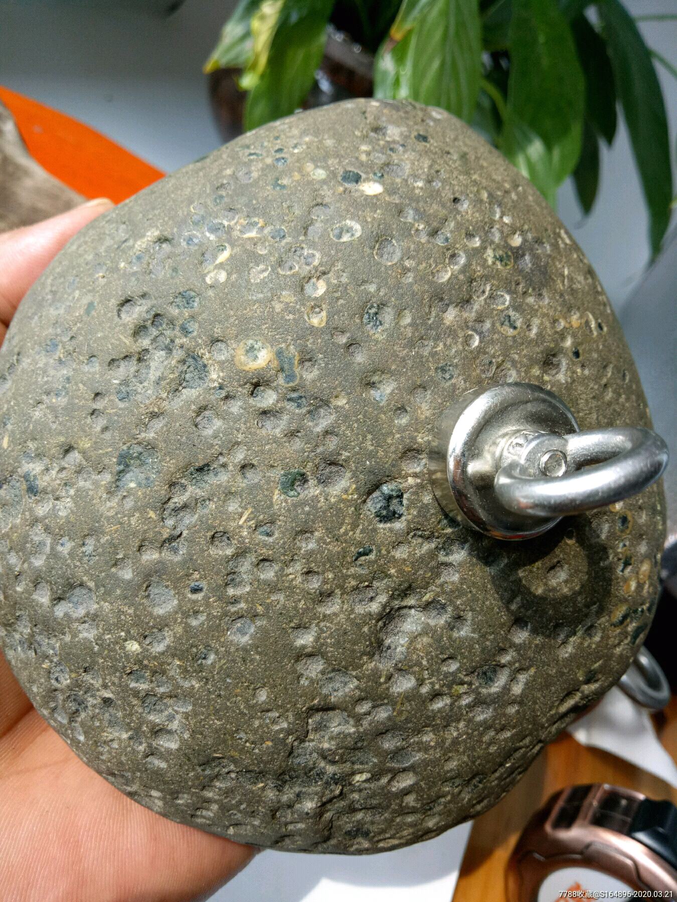 金属球粒陨石矿石(中磁性)-陨石-7788收藏__收藏热线