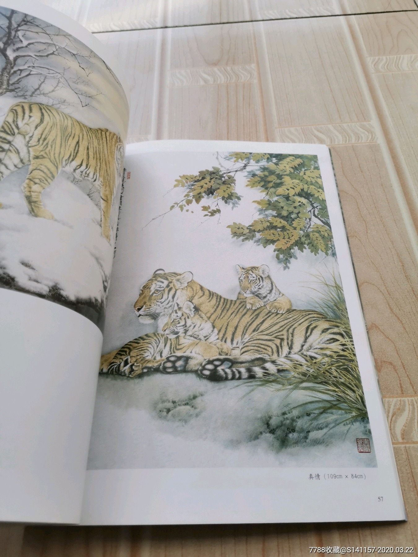 宗万华画虎