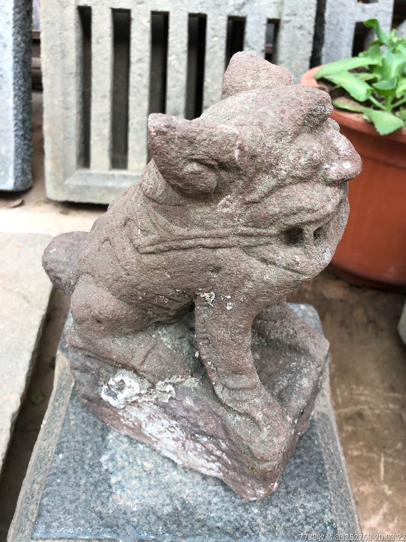 明代红石石狮子