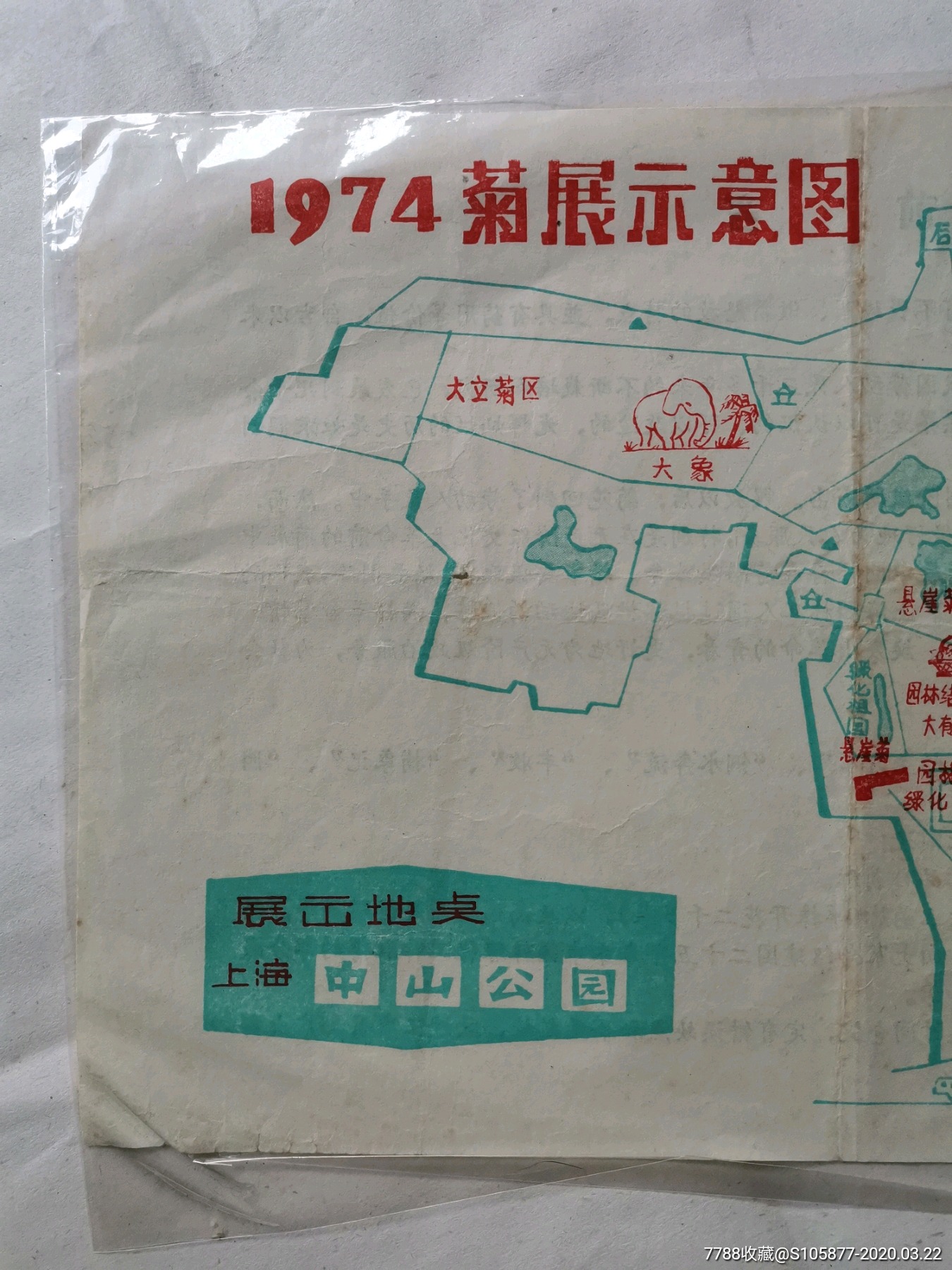 上海中山公园1974年菊展示意图