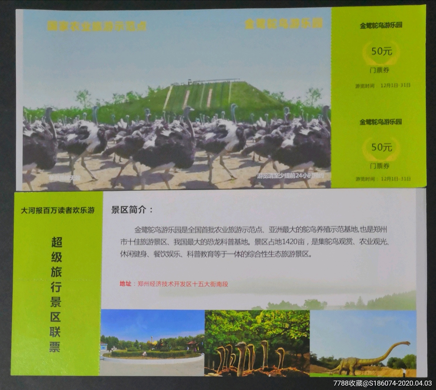 t河南郑州金鹭鸵鸟游乐园