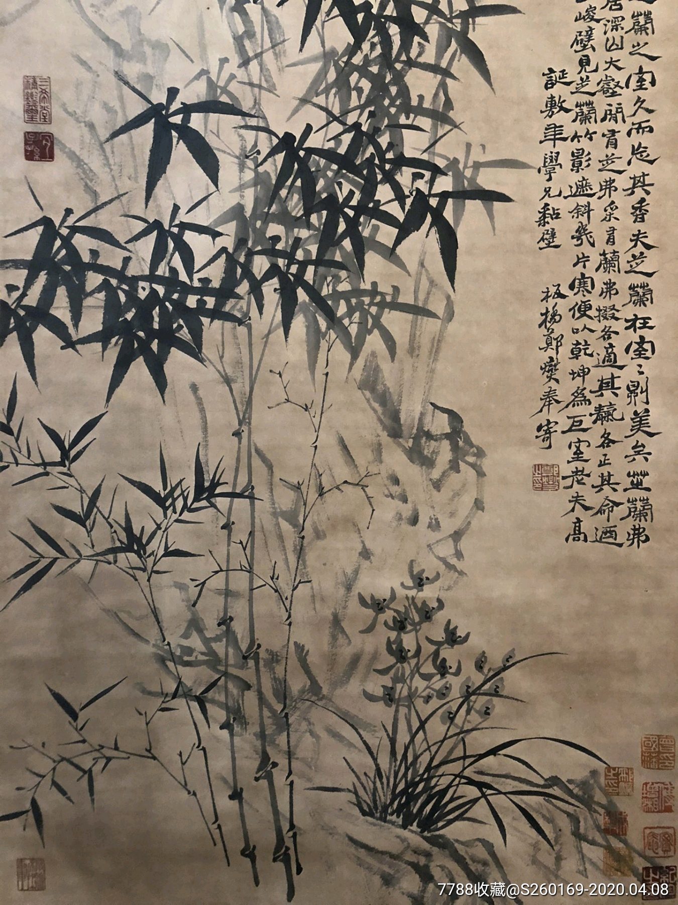 郑板桥,精品纸本墨竹_花鸟国画原作【百事可乐收藏】_第5张_7788模型