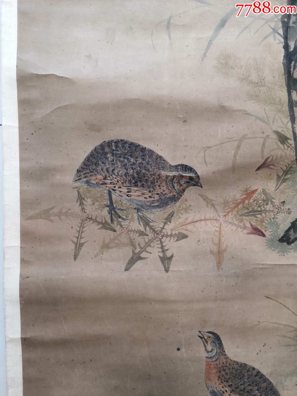 清朝花鸟国画原作(多焕章绘画作品)