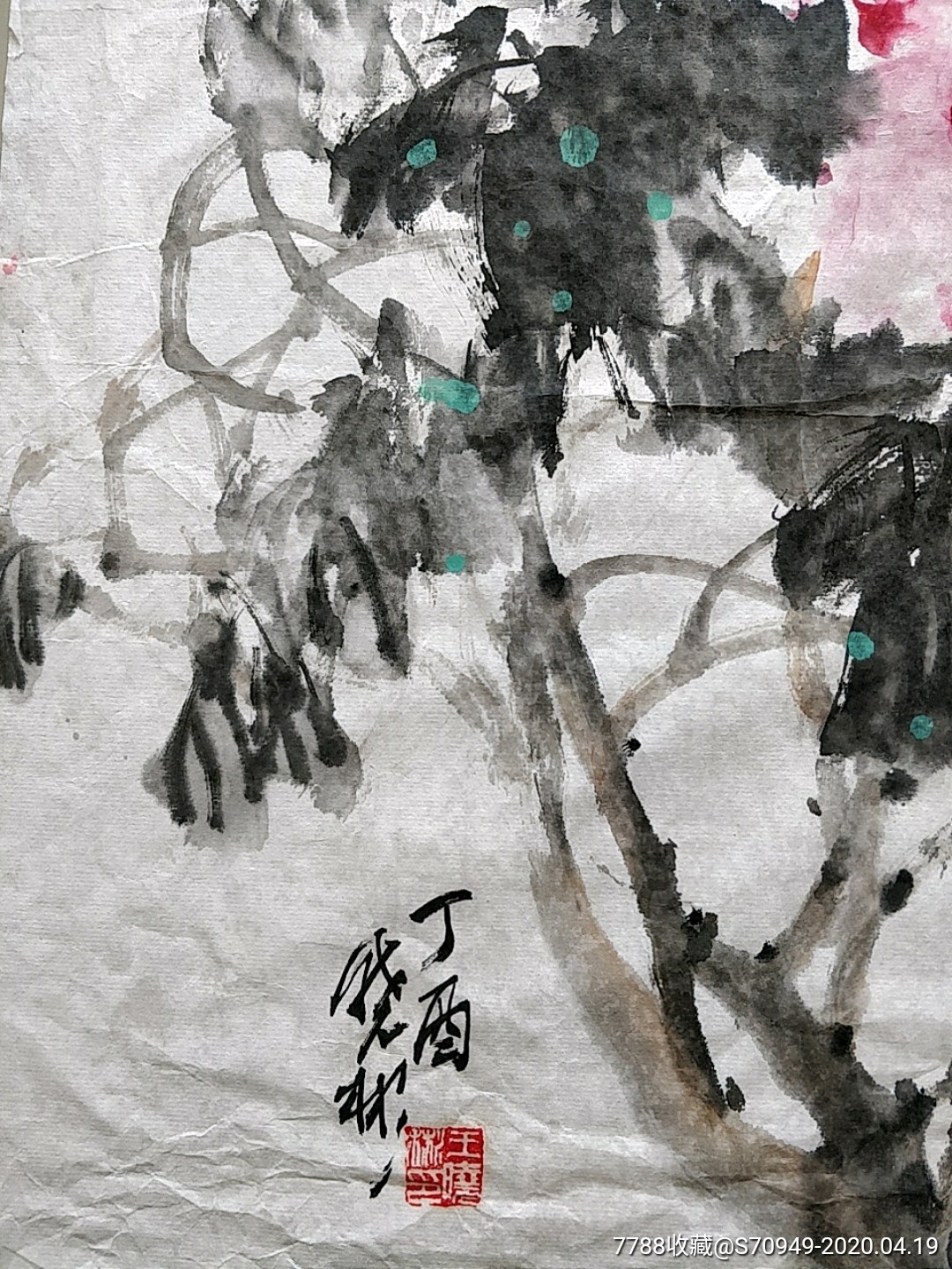 名家牡丹《王晓彬》