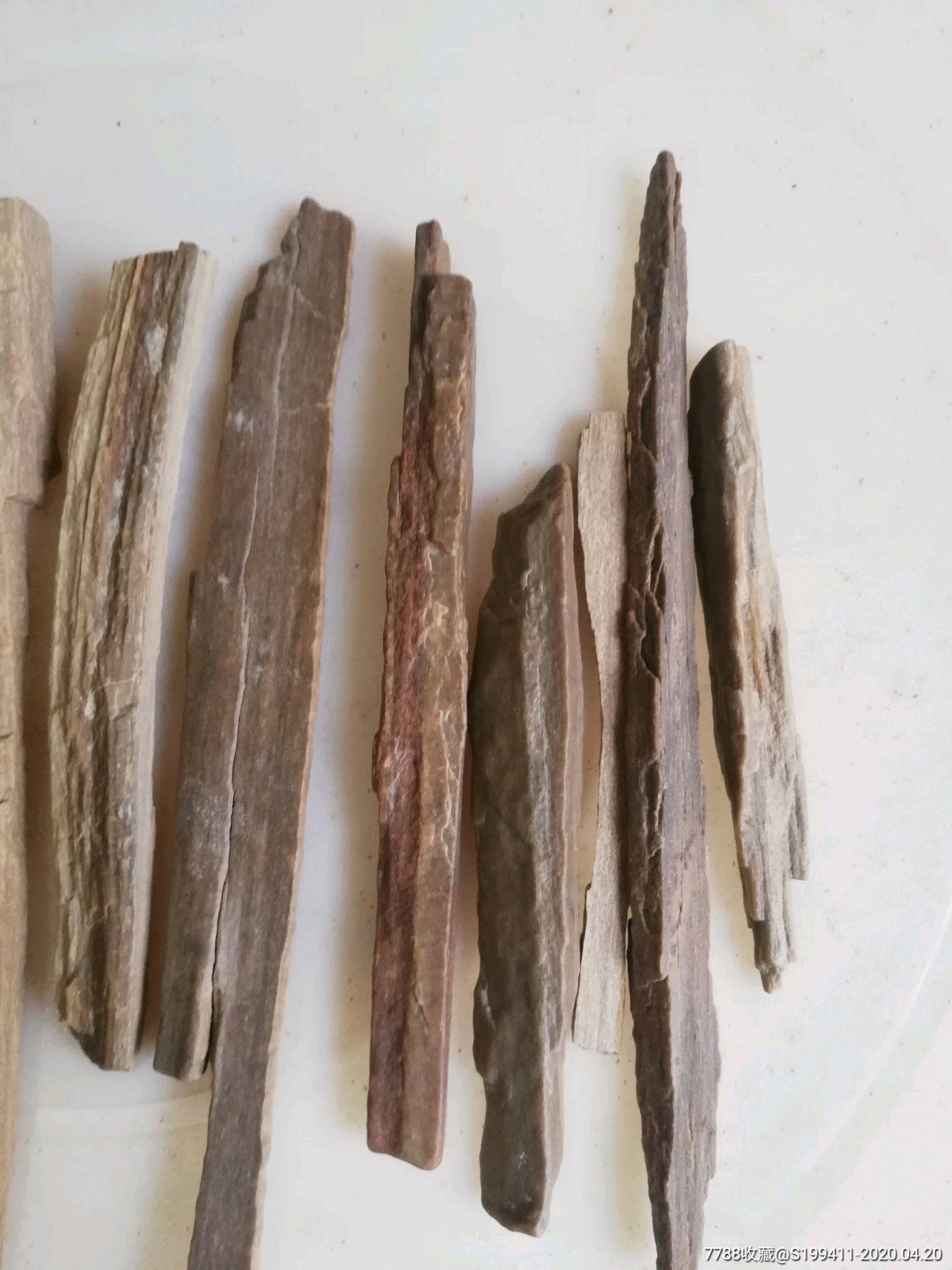 木化石硅化木树化玉新疆戈壁化石