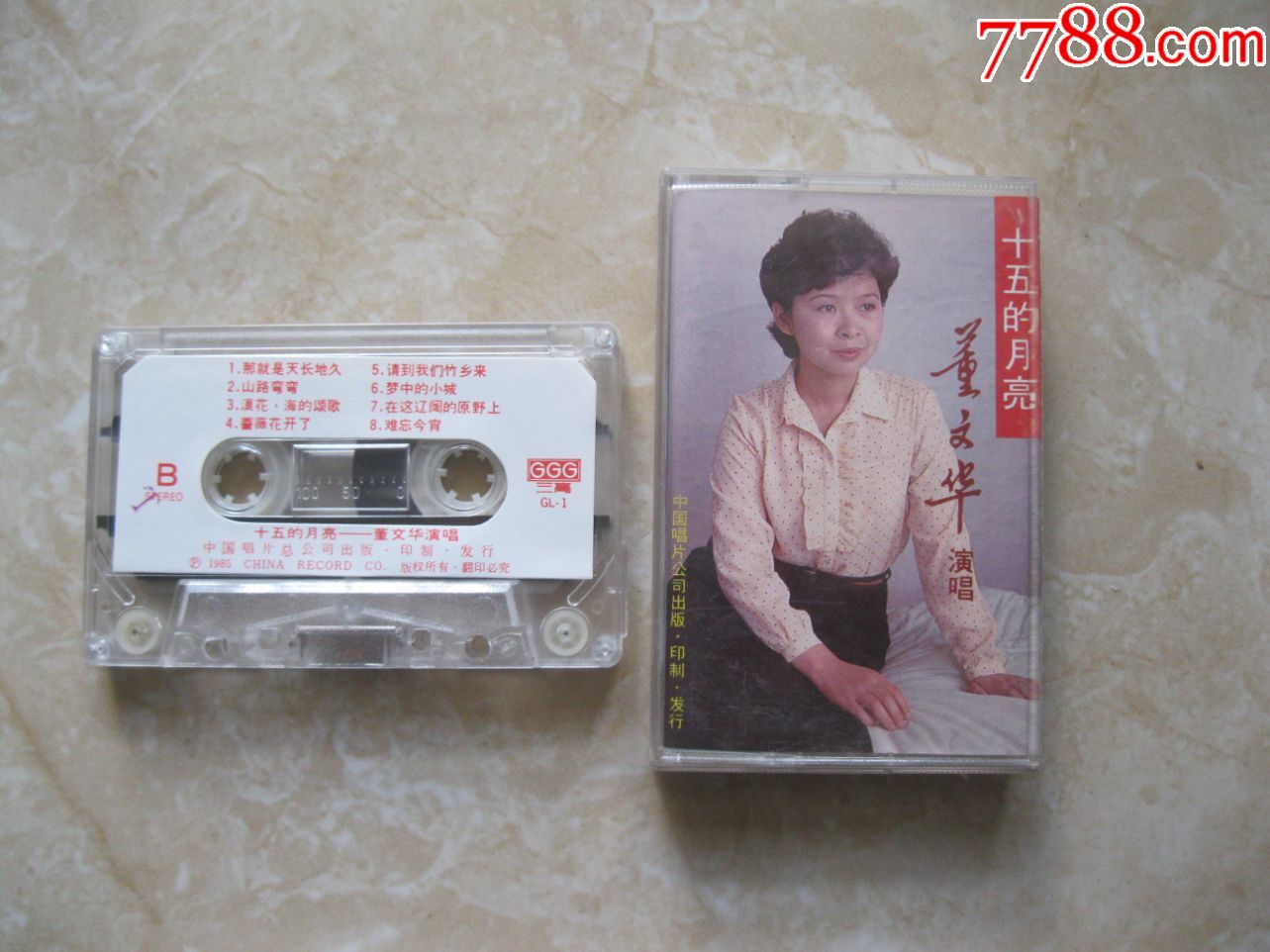 董文华十五的月亮