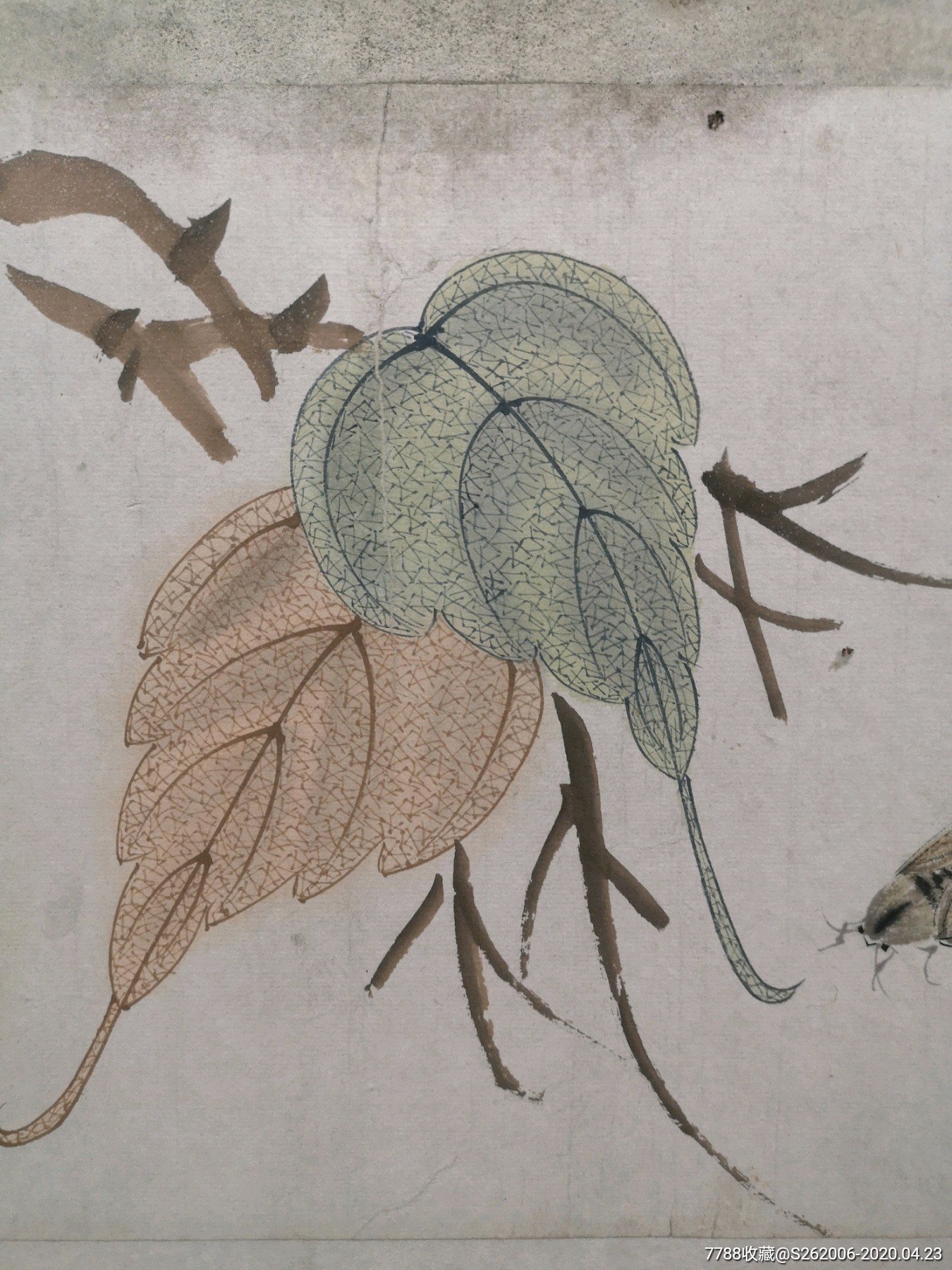 工笔花卉_花鸟国画原作_文华艺术【7788收藏__收藏
