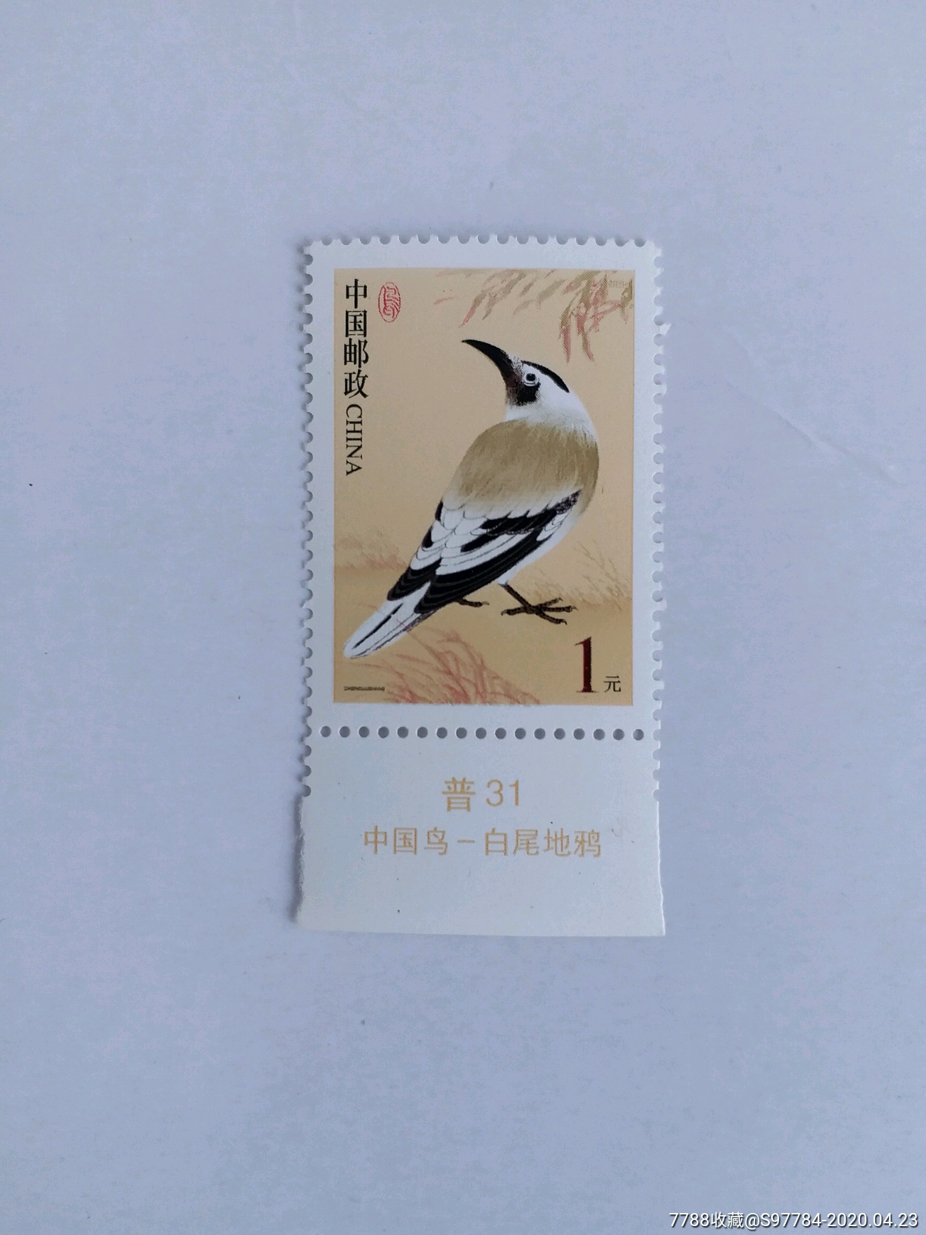 普31中国鸟-新中国邮票-7788收藏