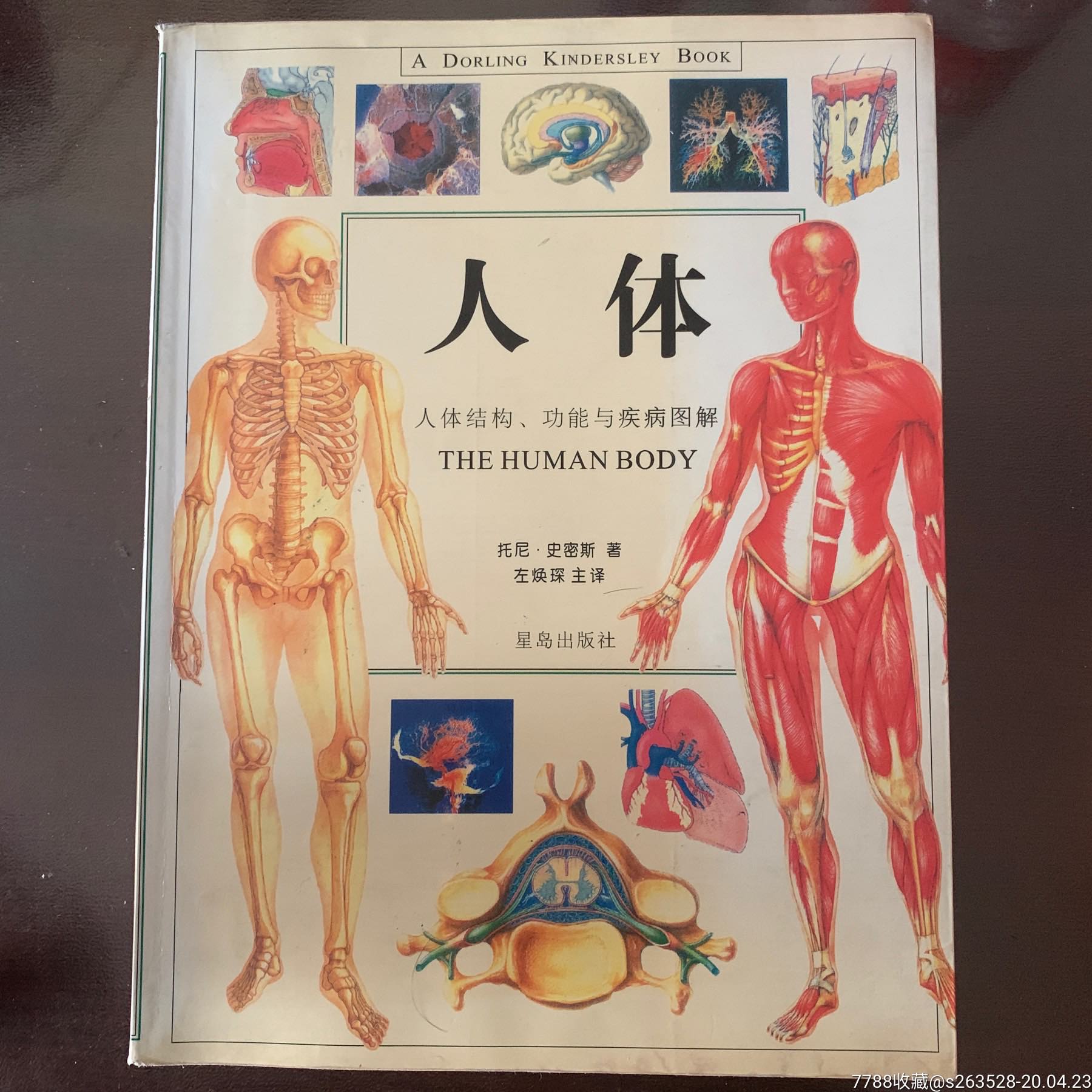人体结构功能与疾病图解