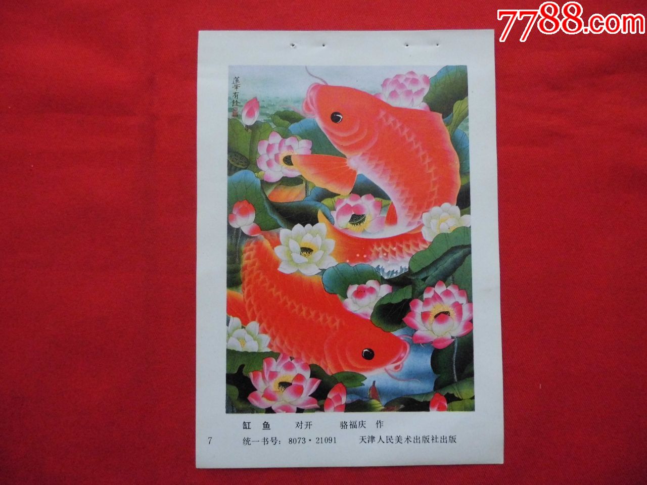 缸鱼-年画缩样散页-7788收藏__收藏热线
