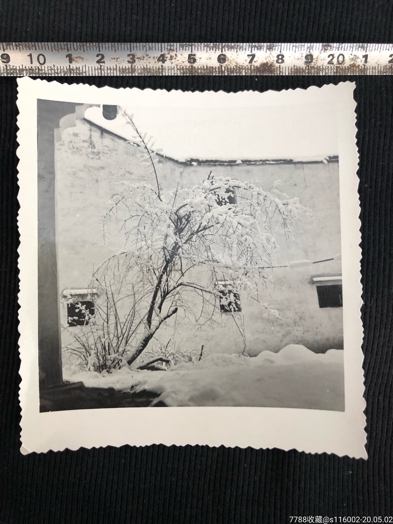 八十年代雪景照片-价格:25元-se72752824-老照片-零售-7788收藏__收藏