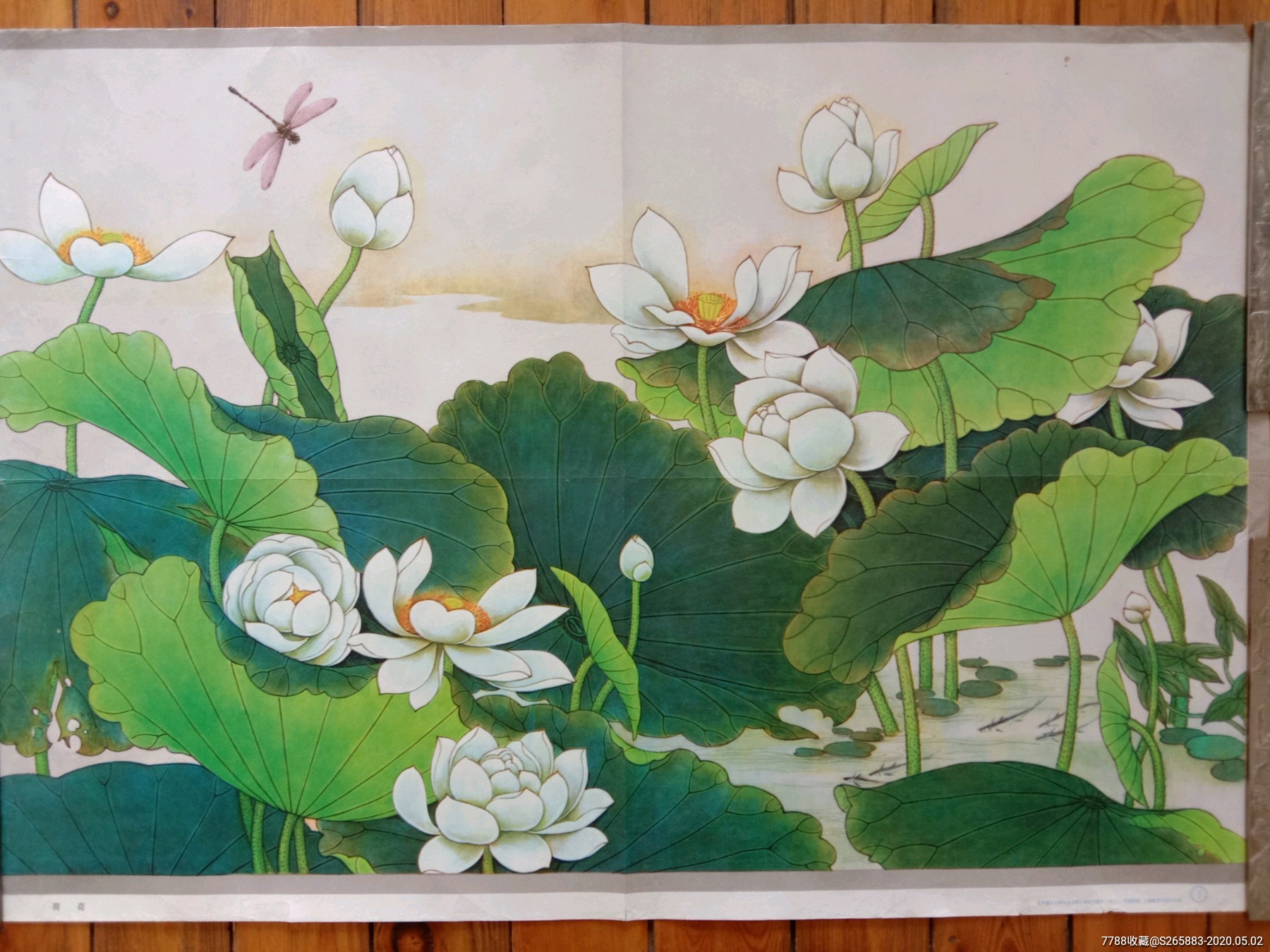 荷花-年画/宣传画-7788收藏