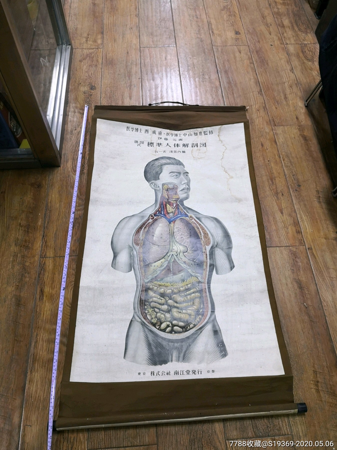 解剖剧场：观察身体的科学、艺术与秩序