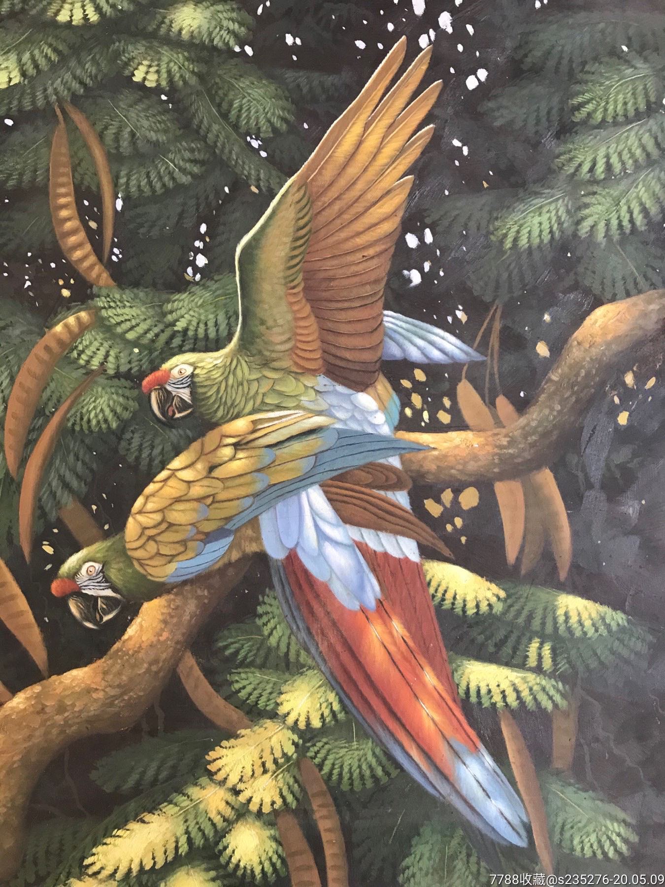 鹦鹉油画作品d13