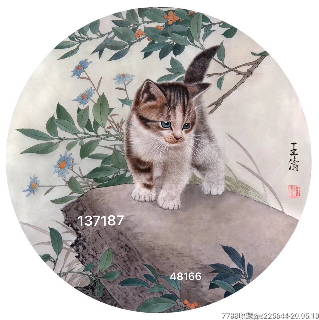 王涛国画猫作品价格