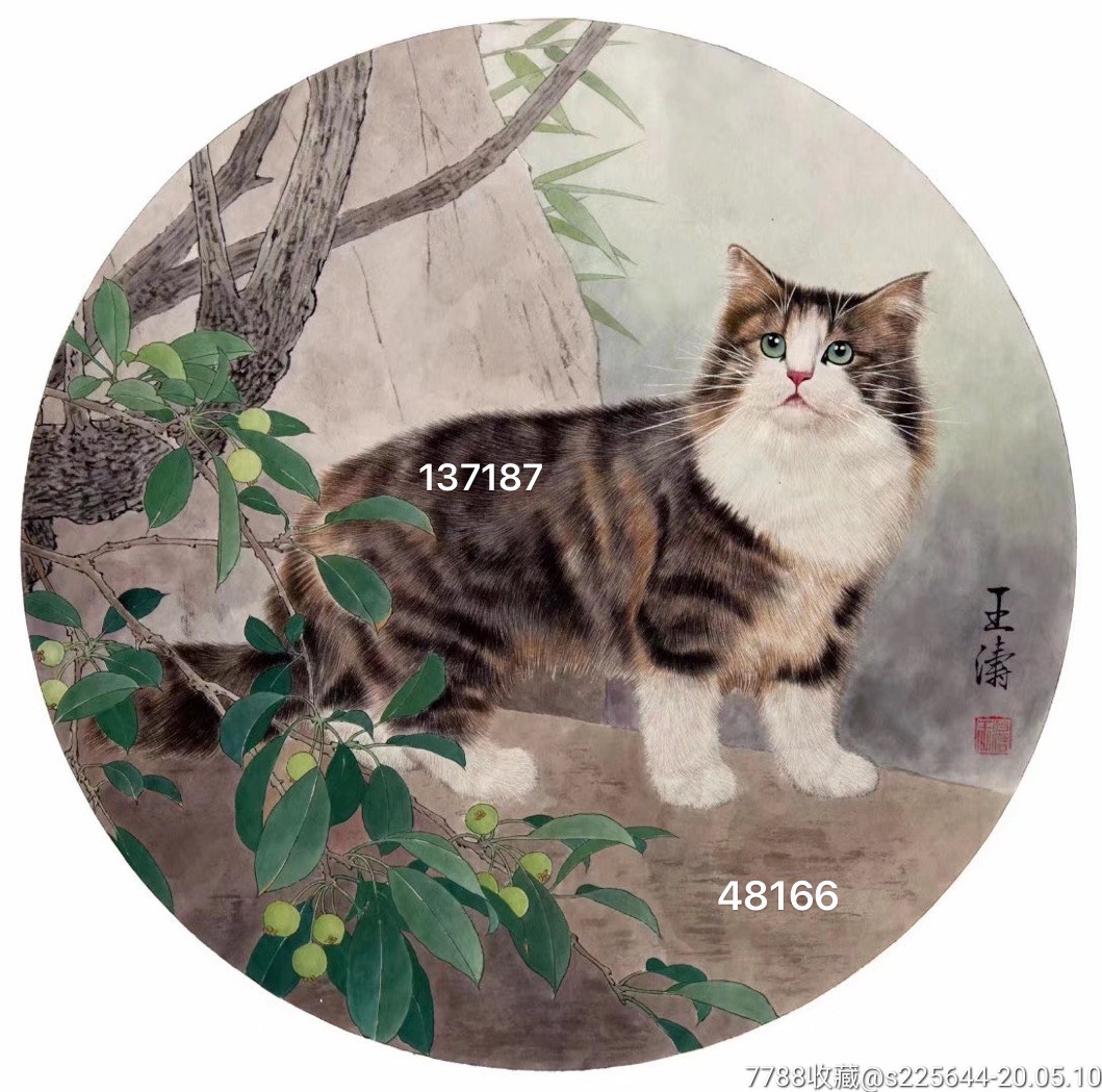 王涛国画猫作品价格