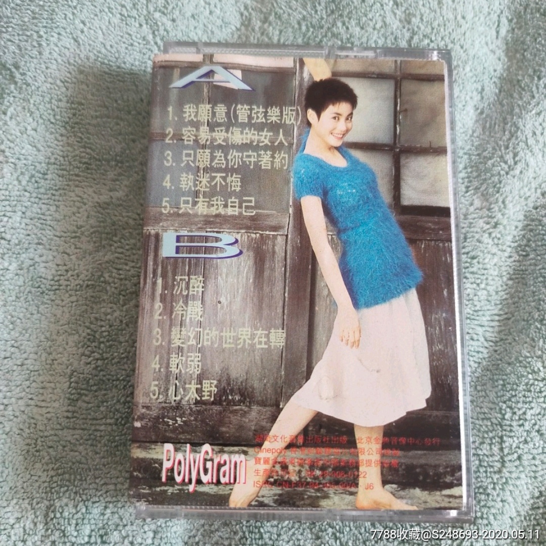王菲/我愿意