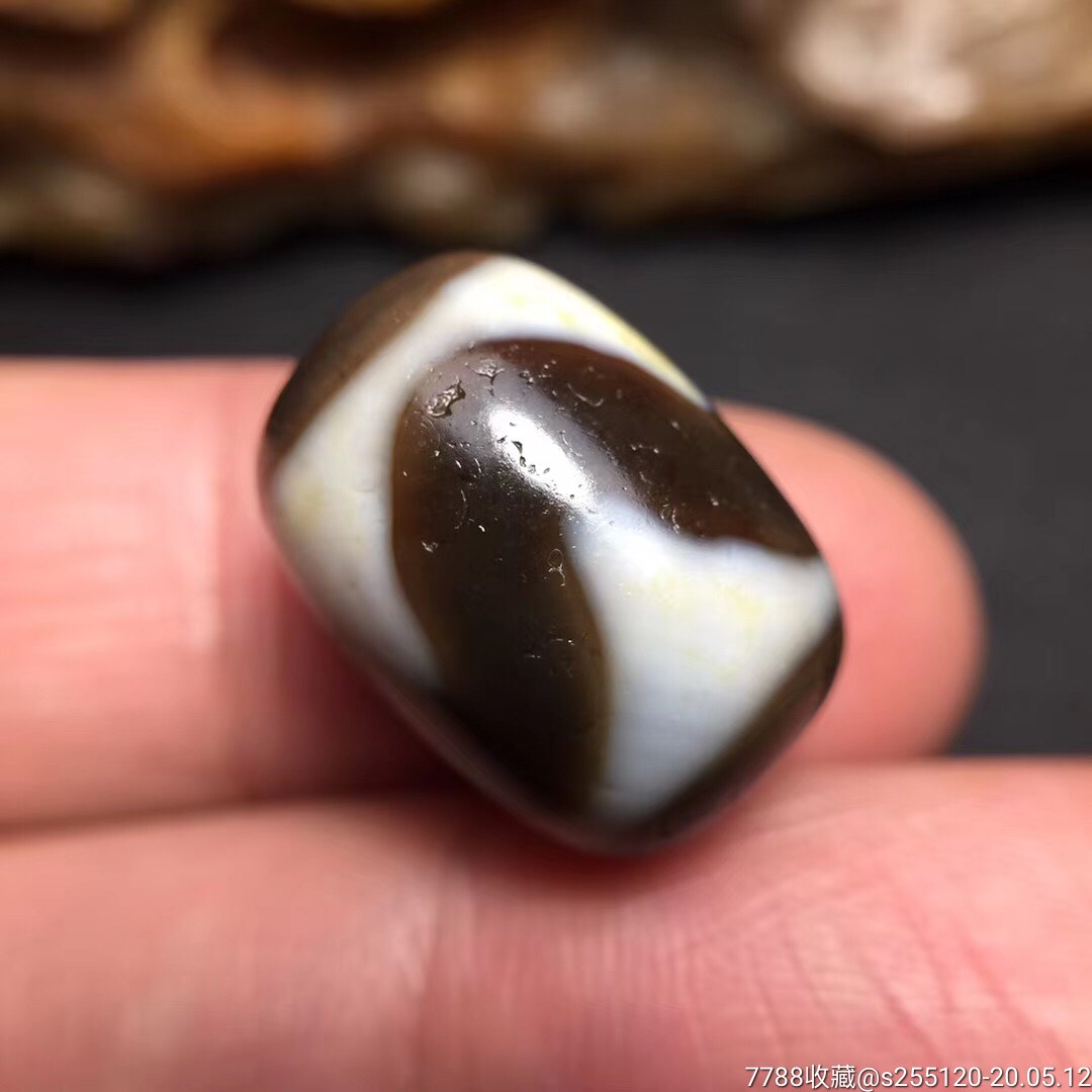 藏传佛教至纯品质虎牙天珠三眼天珠