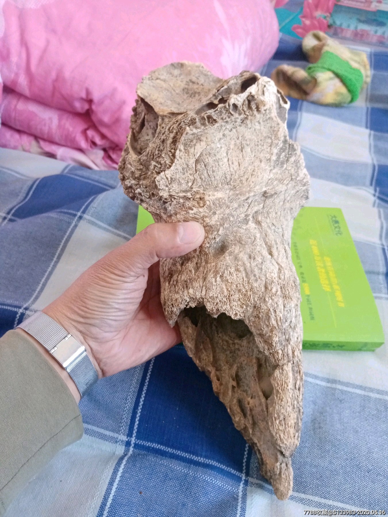 角化石