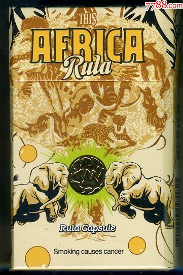 韩国:"africa·象之谜".一只