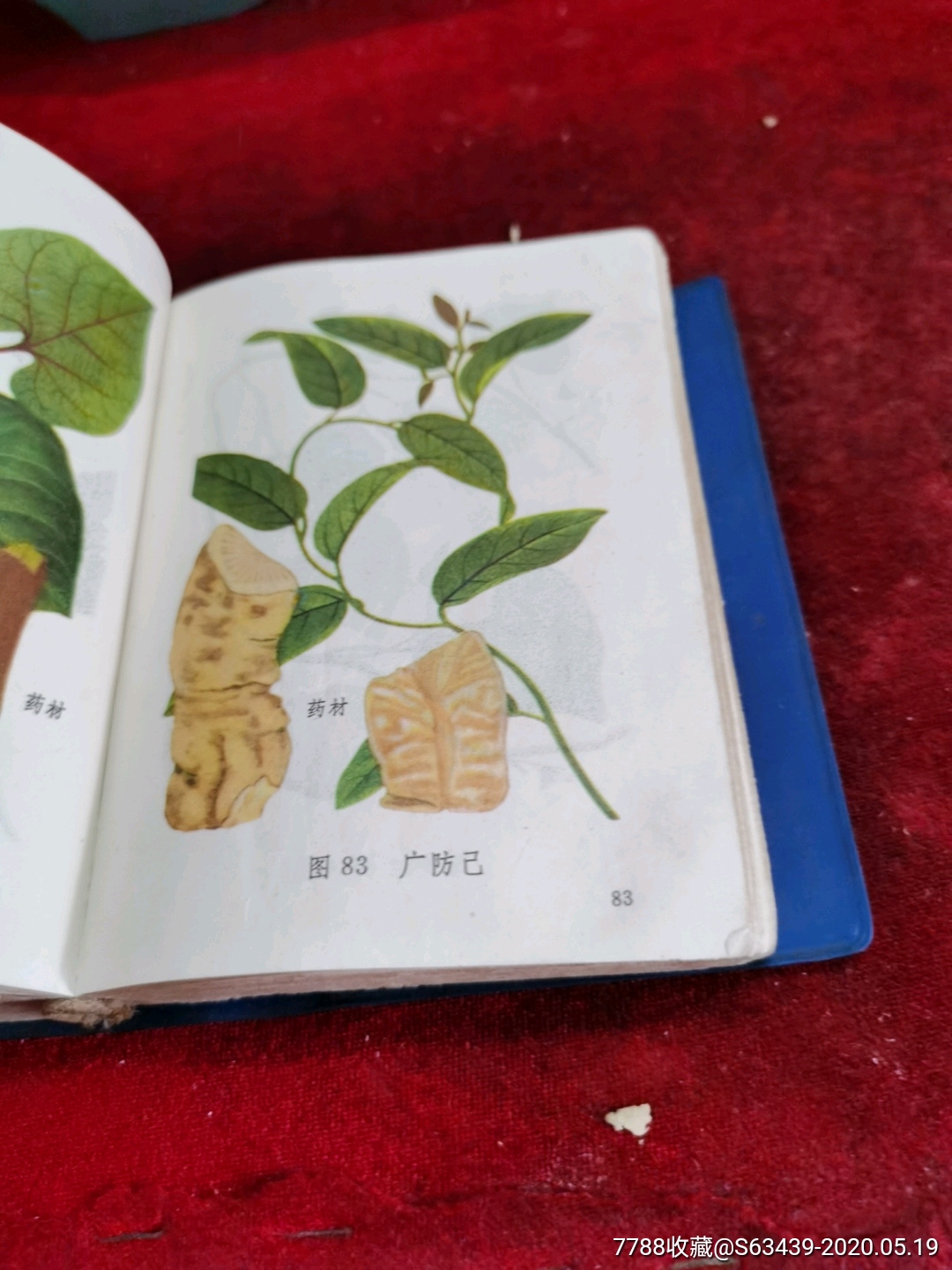 常用中草药图谱-医书/药书-7788收藏__收藏热线