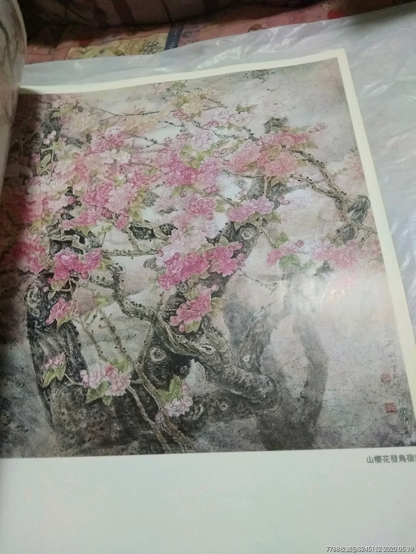 曾昭咏花鸟画作品精选4开