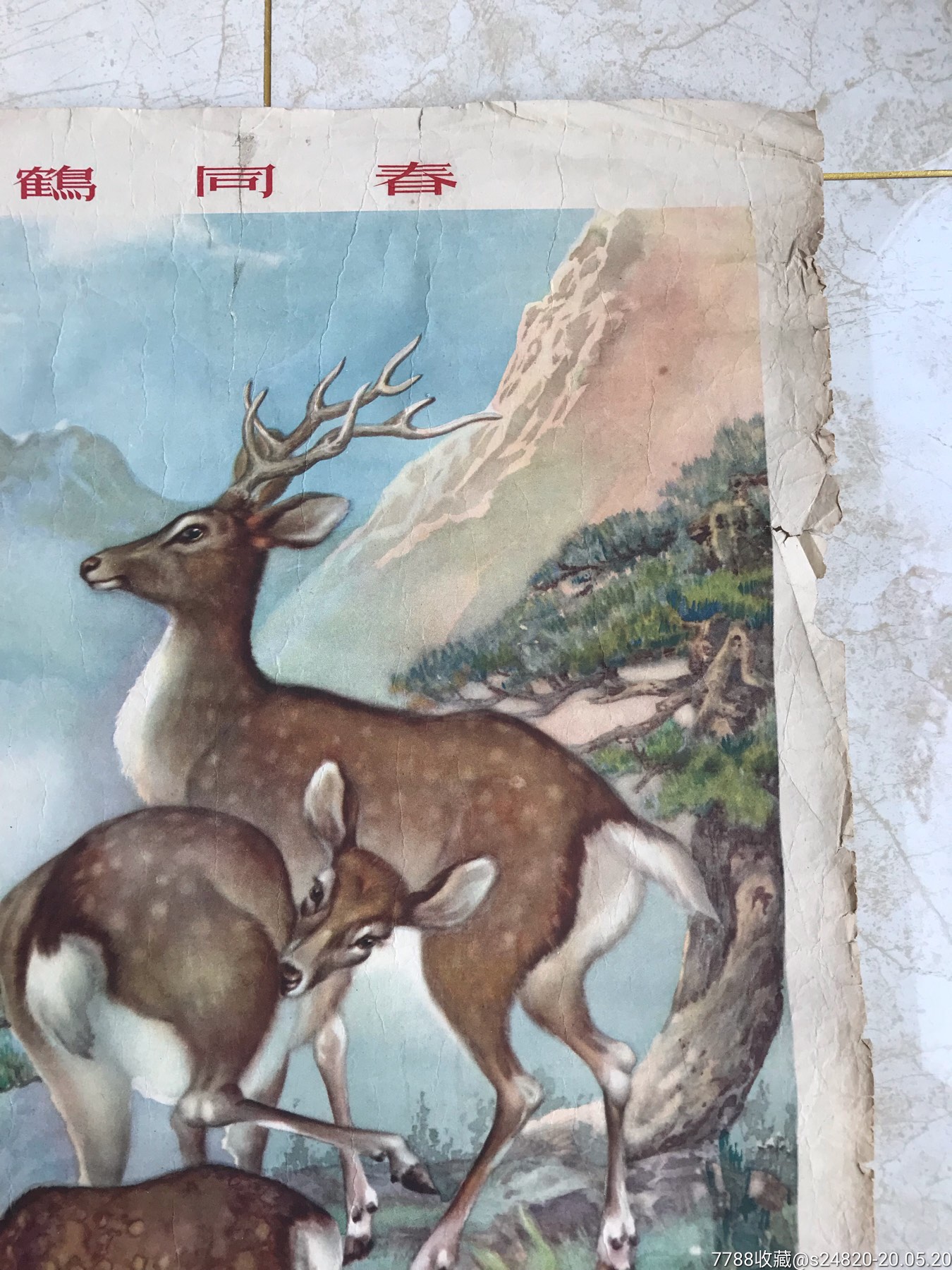 对开56年1次,谢之光作-鹿鹤同春-年画/宣传画-7788收藏