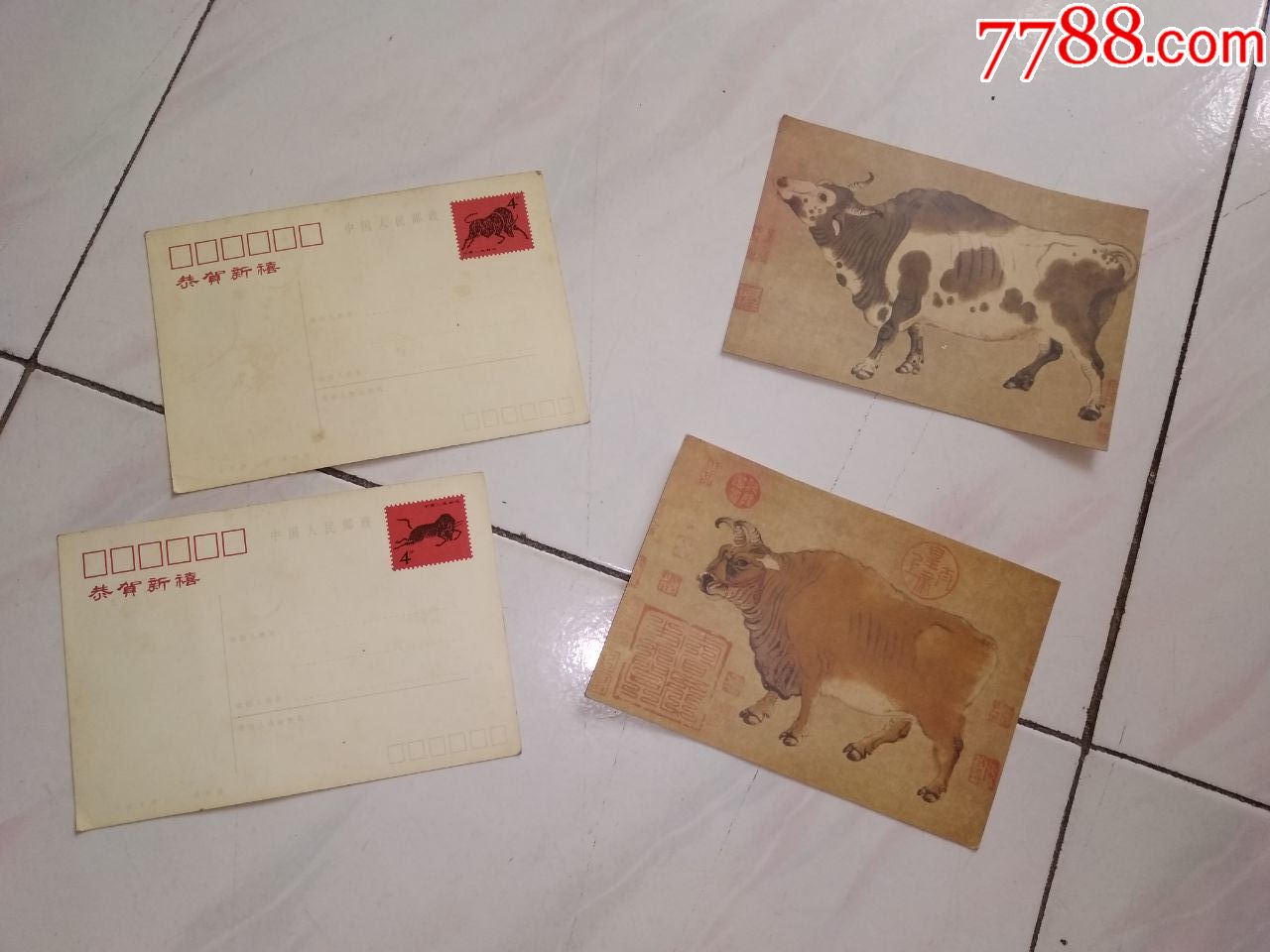 4张--4分---动物--明信片