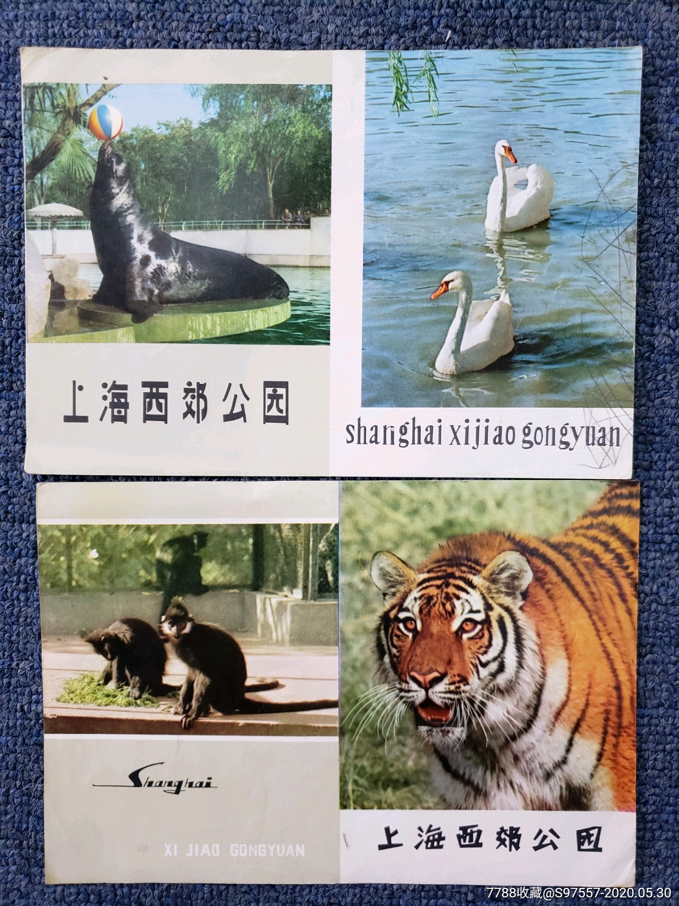 八十年代上海西郊公园