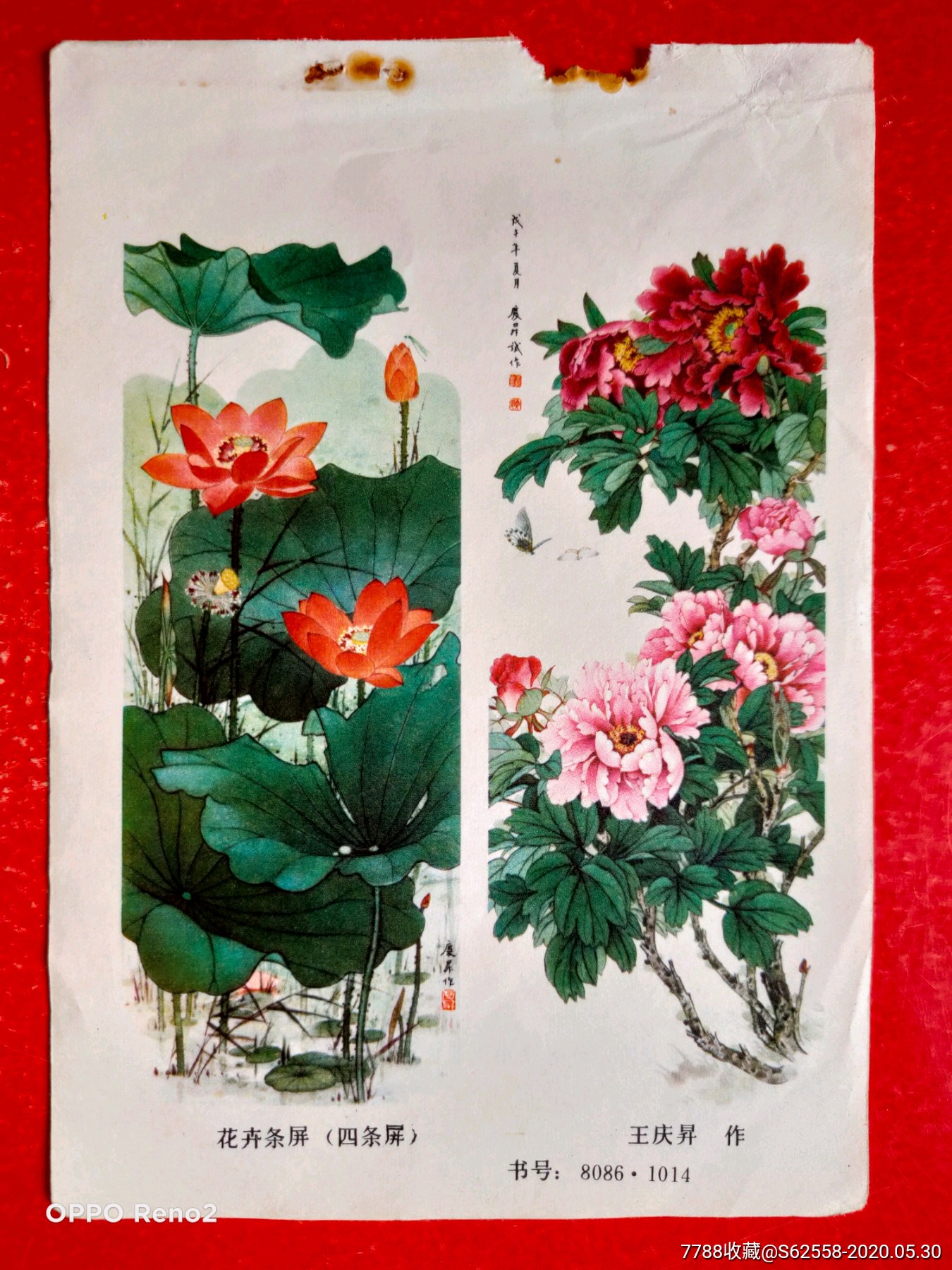 花卉-年画缩样散页-7788收藏