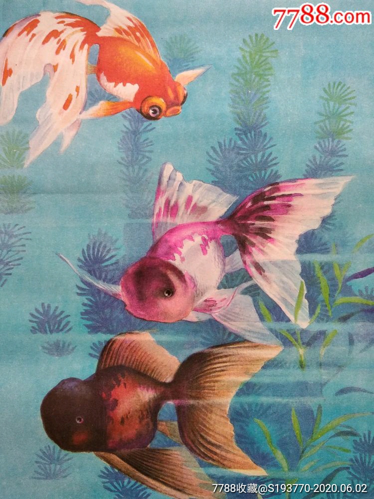 鱼乐四季【四条屏绘画未出版前画样版保真】