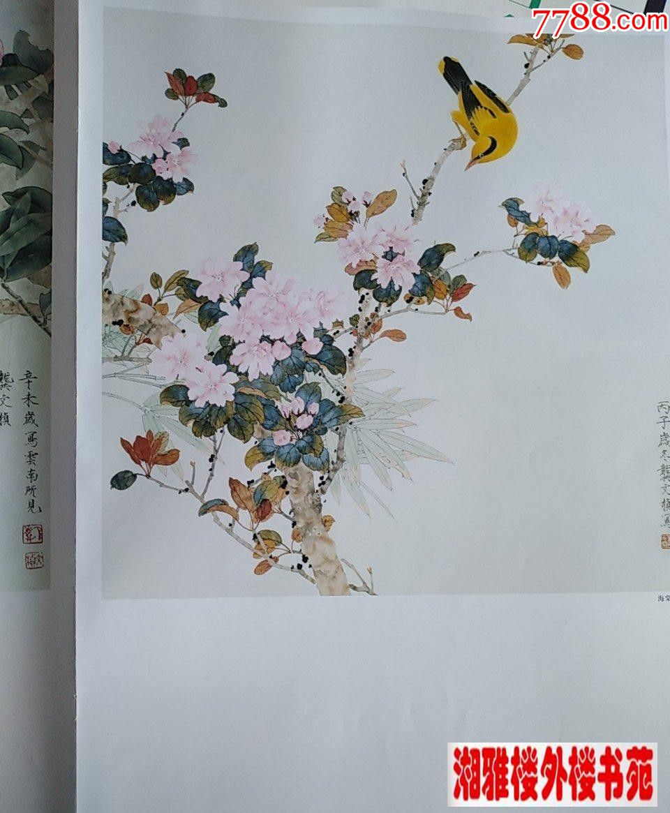 龚文桢工笔花鸟画集