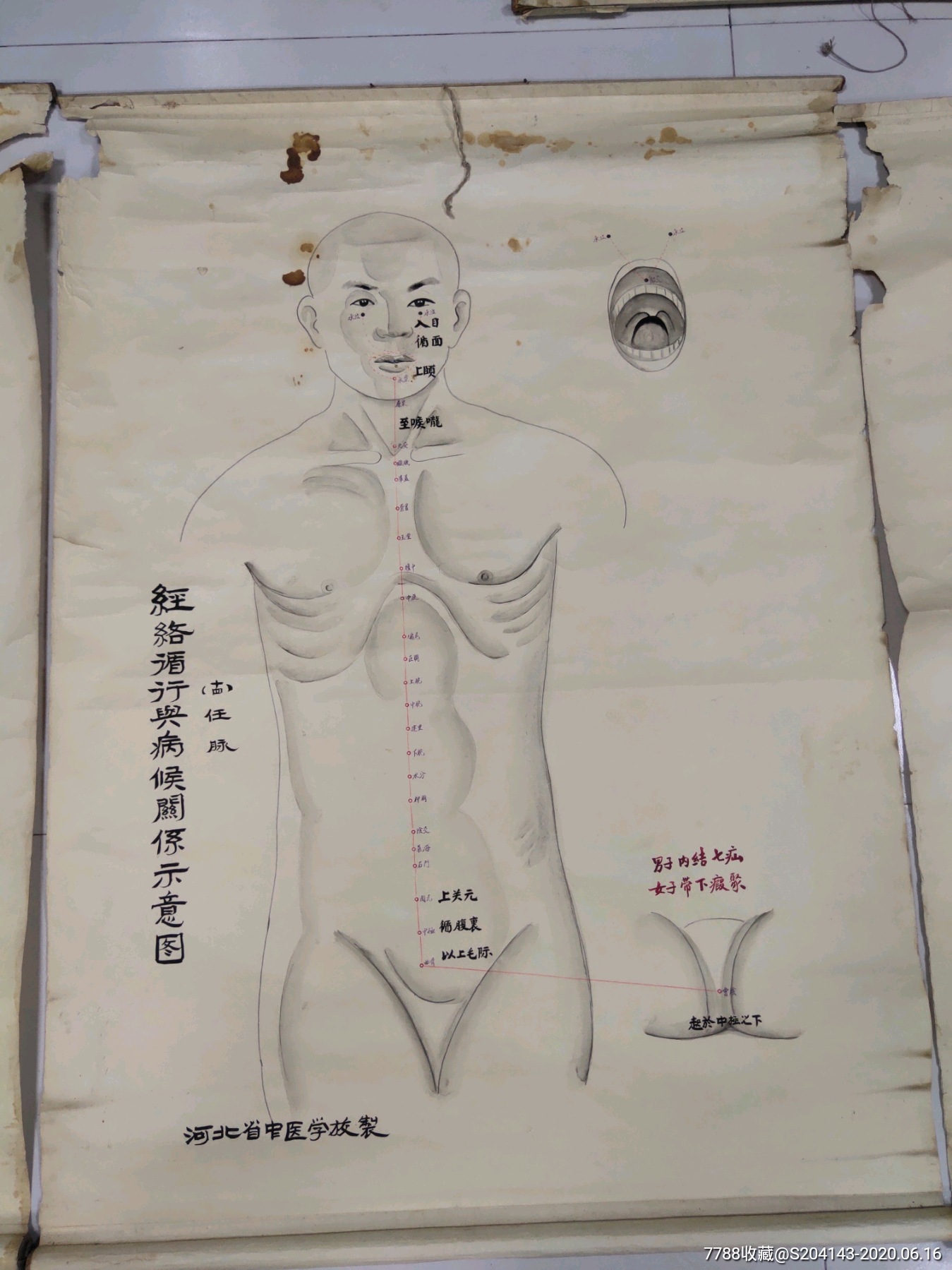 50年代(手绘孤品)针灸挂图26幅(品如图)长1.1米中医博物馆最适合