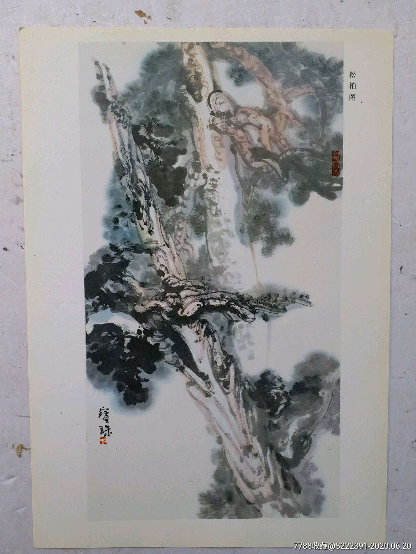 名家松柏画谱《张宝珠松柏画谱》活页,画松柏特点而名扬画坛.