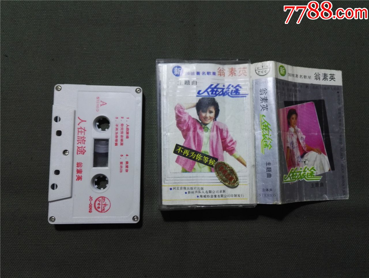 翁素英,人在旅途