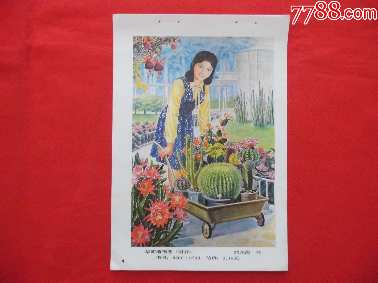 华南植物园-年画缩样散页-7788收藏