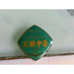 新疆实验中学校徽(如图)