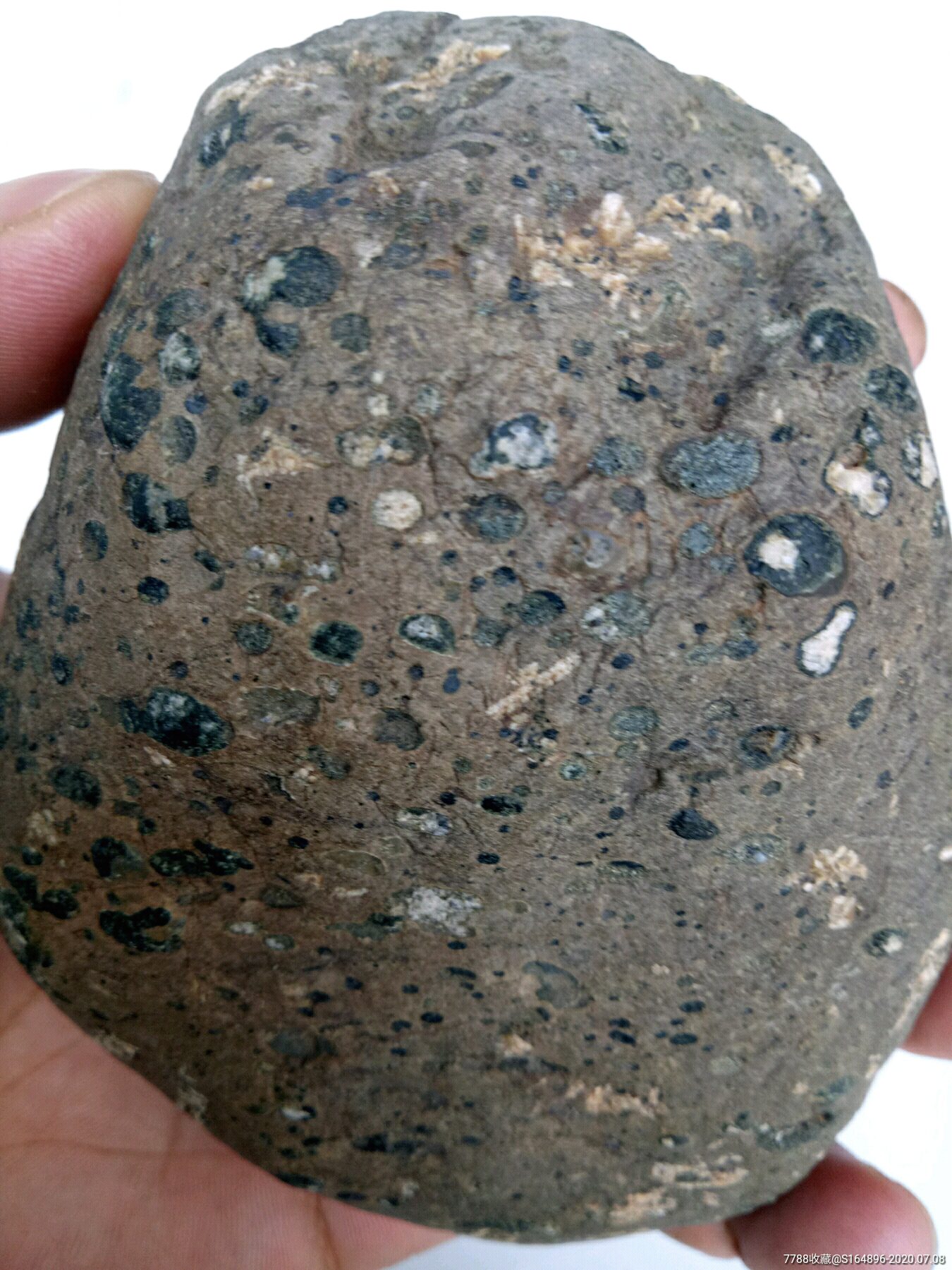 黑宝绿球粒陨石,中磁-陨石-7788收藏__收藏热线