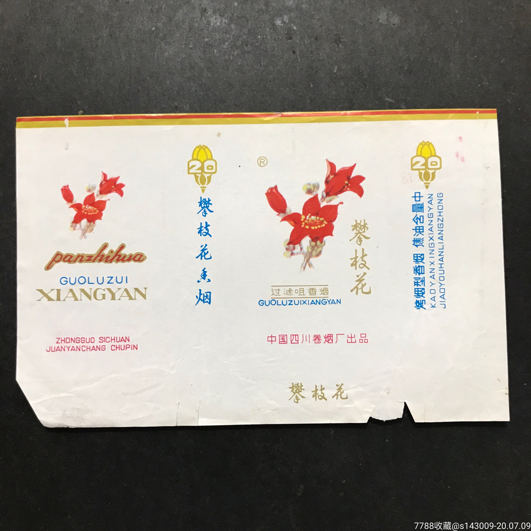 攀枝花