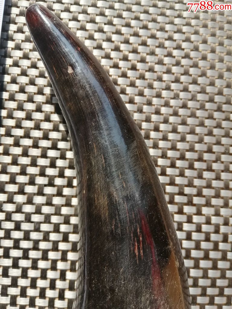 牛角摆件特价