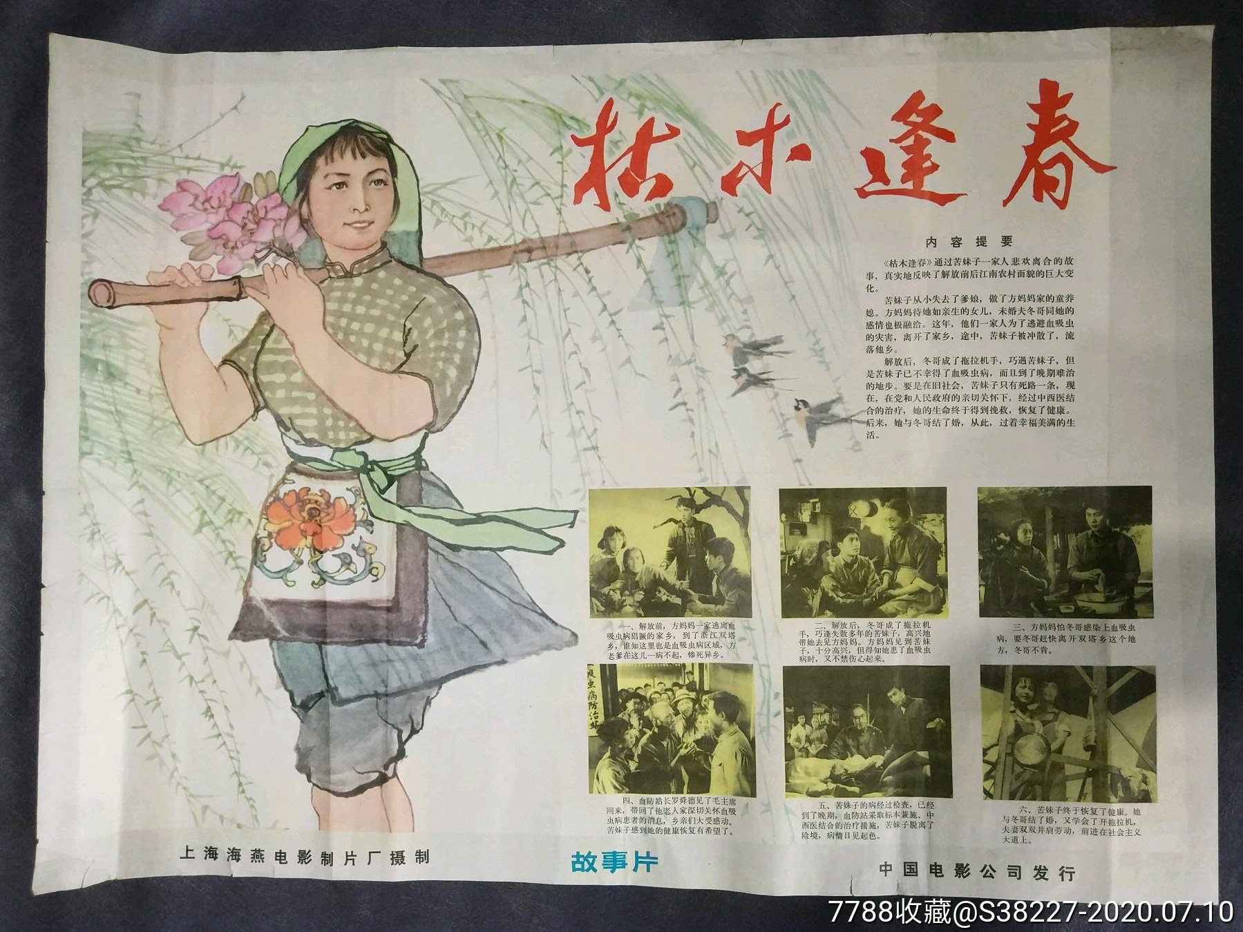 枯木逢春
