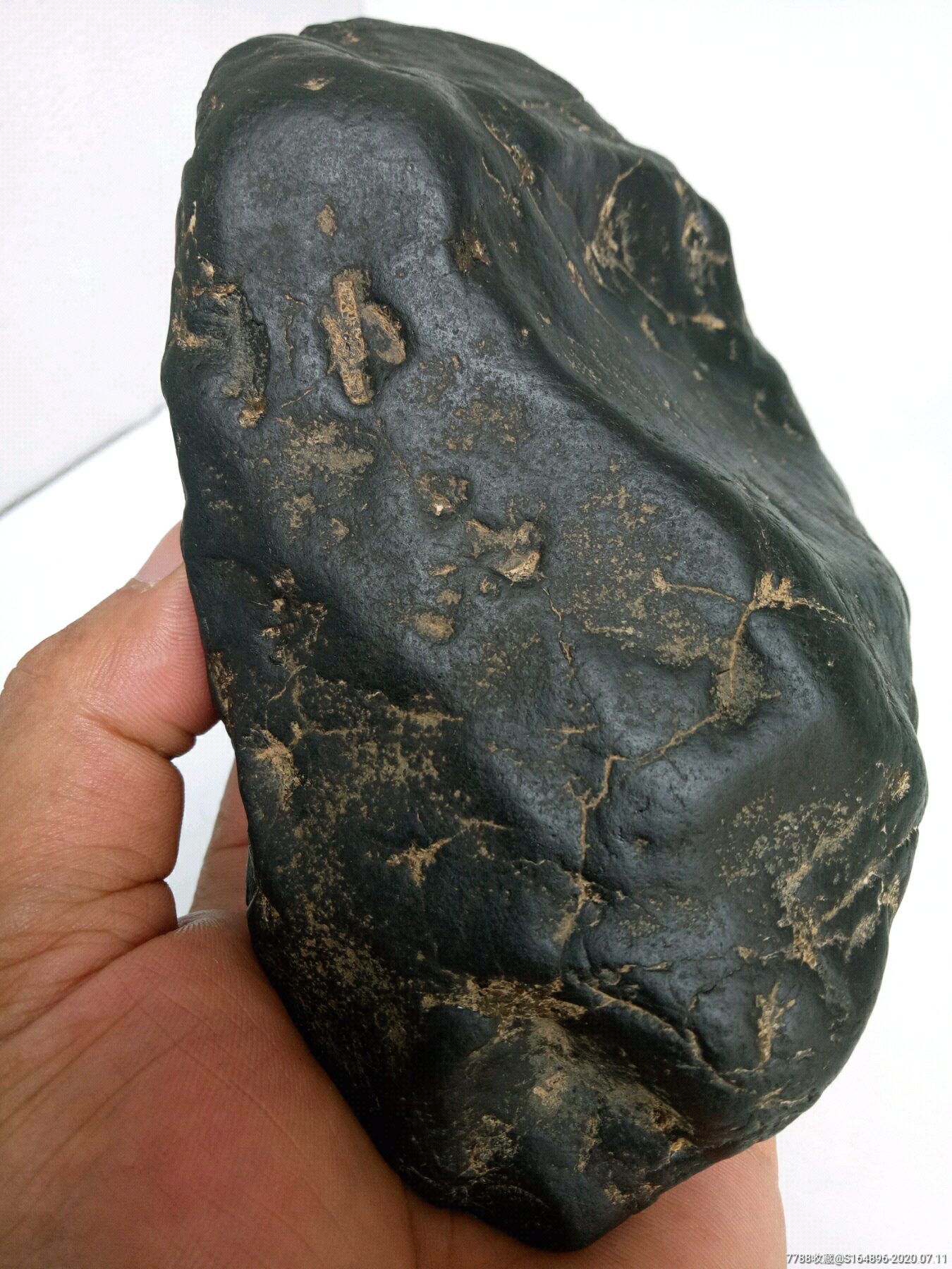 火星乌龟壳陨石,强磁