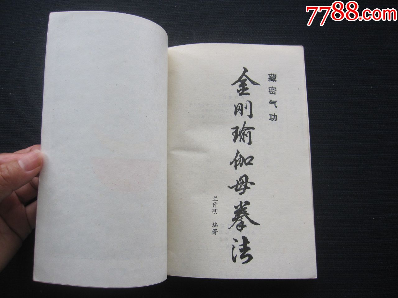 藏密气:金刚瑜伽母拳法