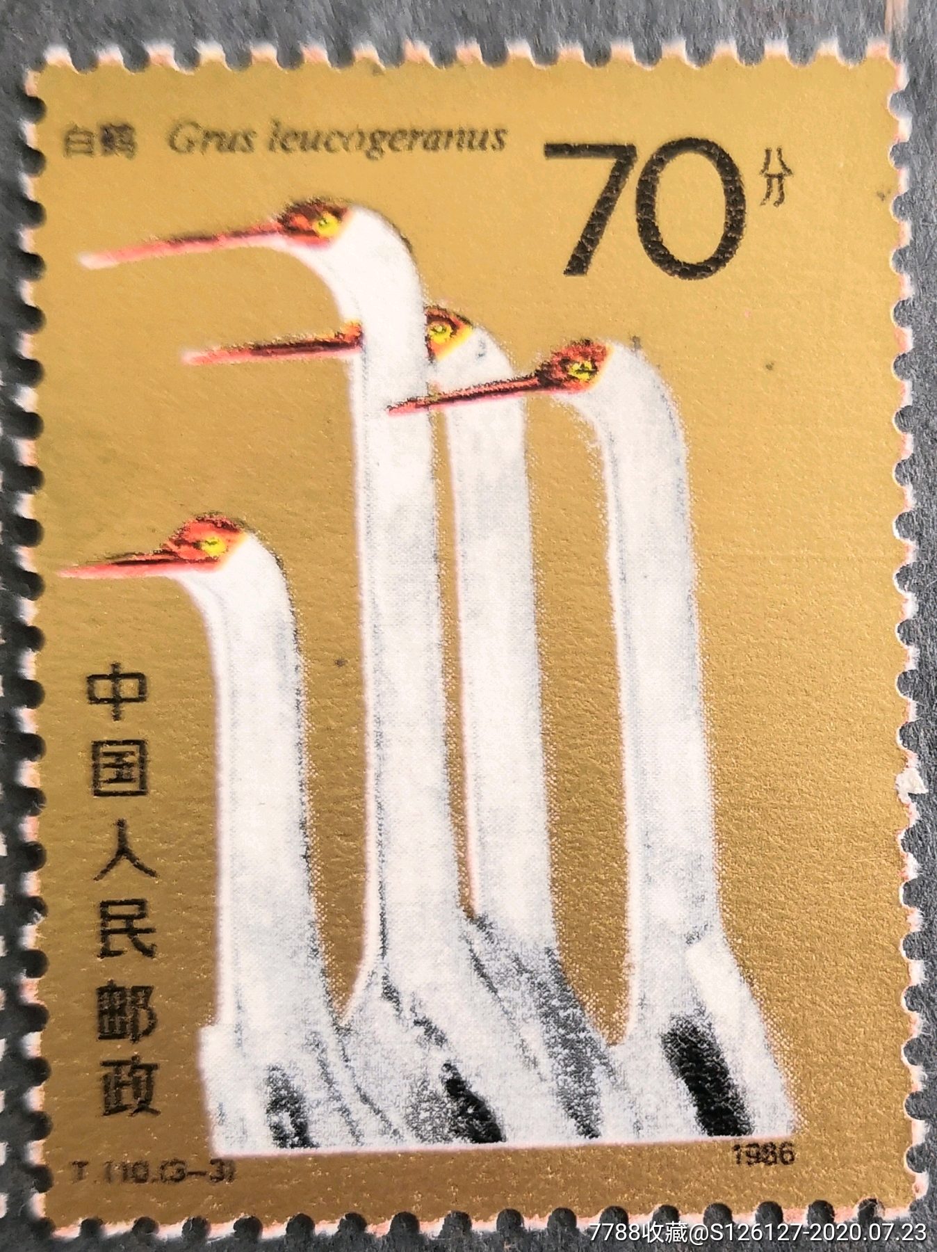 t110白鹤,新中国邮票_第6张_7788邮票收藏